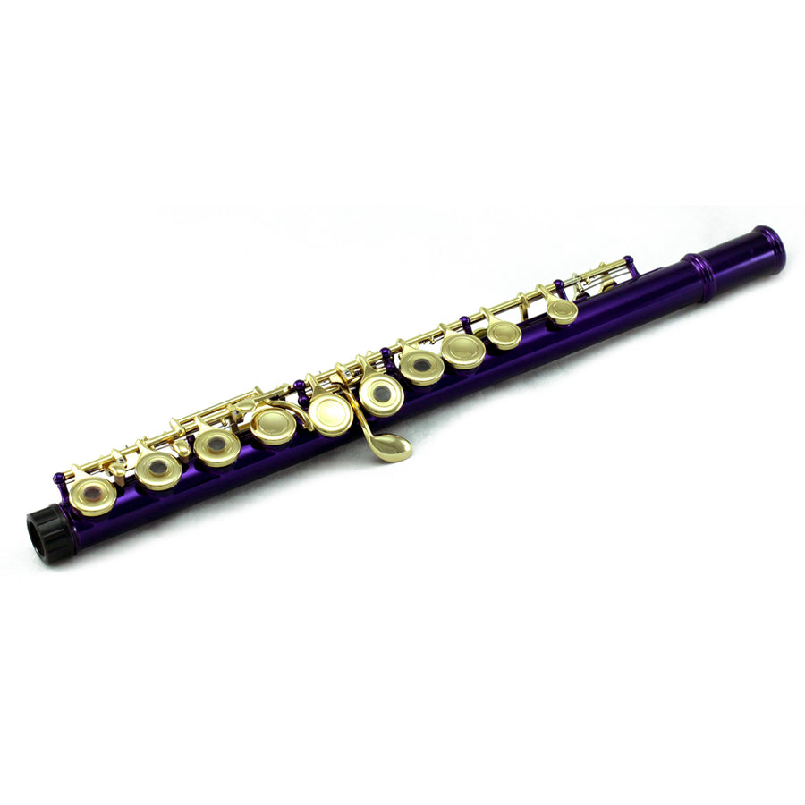 Sky C Foot Flute Purple/Gold Open Hole Band Approved