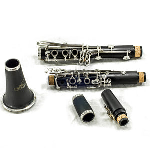 SKY Black Bb Clarinet Ebony Neck with Case, Mouthpiece, 11 Reeds, Care Kit and More