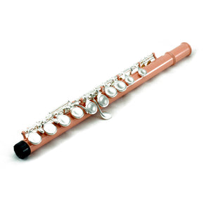 Sky C Foot Flute Velvet Pink Silver Closed Hole Band Approved