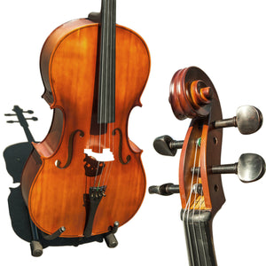 Paititi CE3005PE Scholar 256 Ebony Fitted Matte Finish Wood Cello