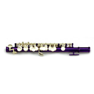 Sky(Paititi) Band Approved Purple Lacquer Plated Piccolo Key of C Starter Kit