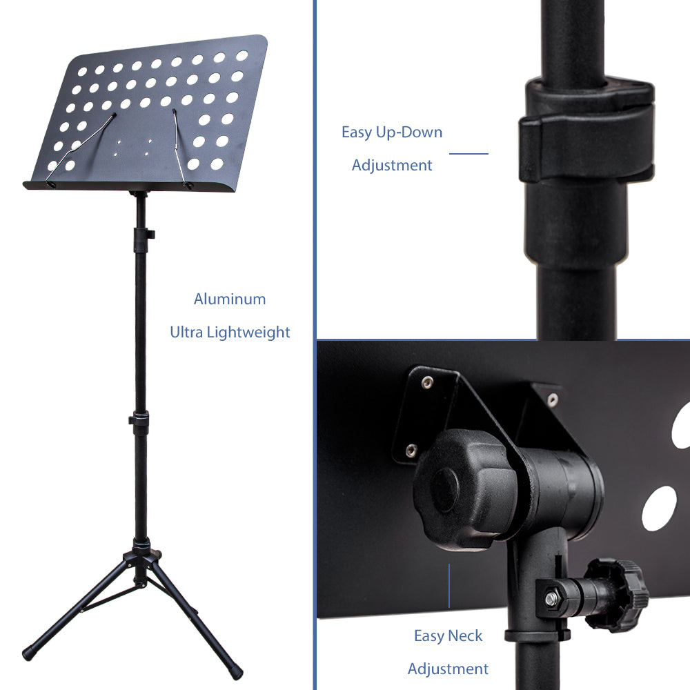 Collections - Rosa Musical Instrument