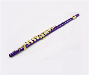 Sky C Foot Flute Purple Gold Closed Hole Band Approved