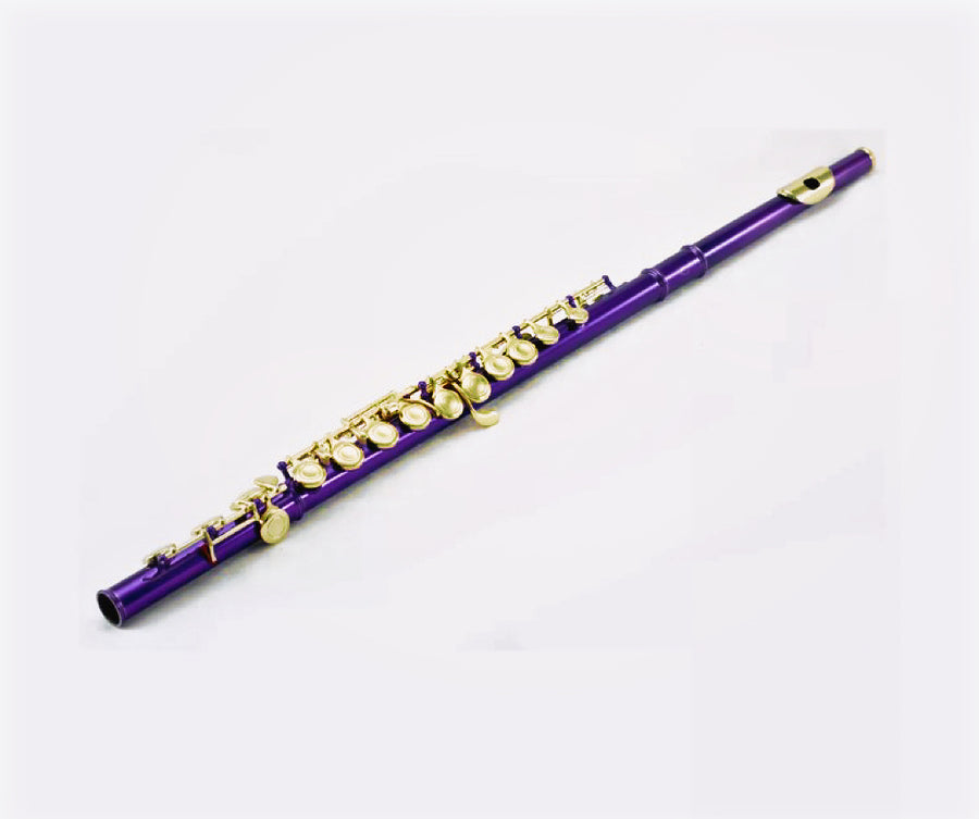 Sky C Foot Flute Purple Gold Closed Hole Band Approved