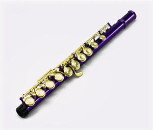 Sky C Foot Flute Purple Gold Closed Hole Band Approved