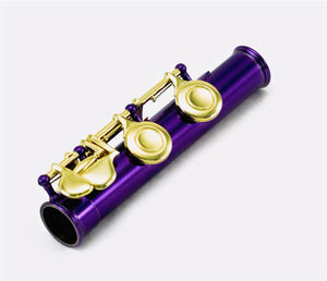 Sky C Foot Flute Purple Gold Closed Hole Band Approved