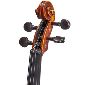 Paititi 4/4 Full Size VN07A Solid Wood Ebony Fitted Acoustic Violin
