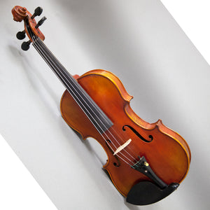 Beautiful Hand Carved Castle Violin 4/4 Open Clear Tone Two Piece Maple Back