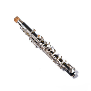 Paititi Band Approved Ebonite Piccolo Key of C Starter Kit
