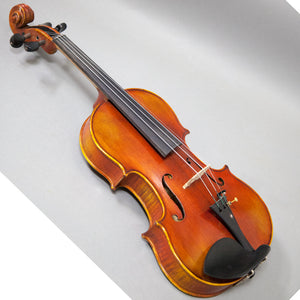 Beautiful Hand Carved Castle Violin 4/4 Open Clear Tone Two Piece Maple Back
