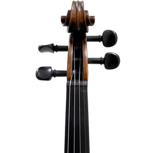Paititi 4/4 Full Size PTTVNSH300 Solid Wood Ebony Fitted Acoustic Violin