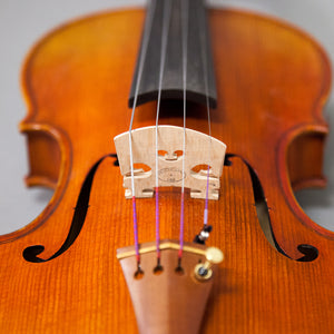 Beautiful Hand Carved Castle Violin 4/4 Open Clear Tone Two Piece Maple Back
