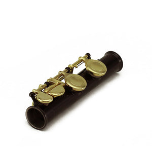 Sky C Foot Flute Black/Gold Open Hole Band Approved