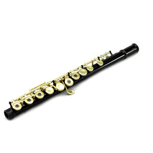 Sky C Foot Flute Black/Gold Open Hole Band Approved