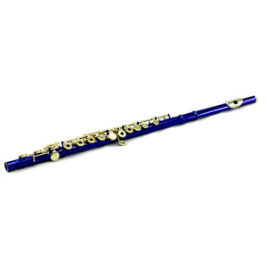 Sky C Foot Flute Blue/Gold Open Hole Band Approved