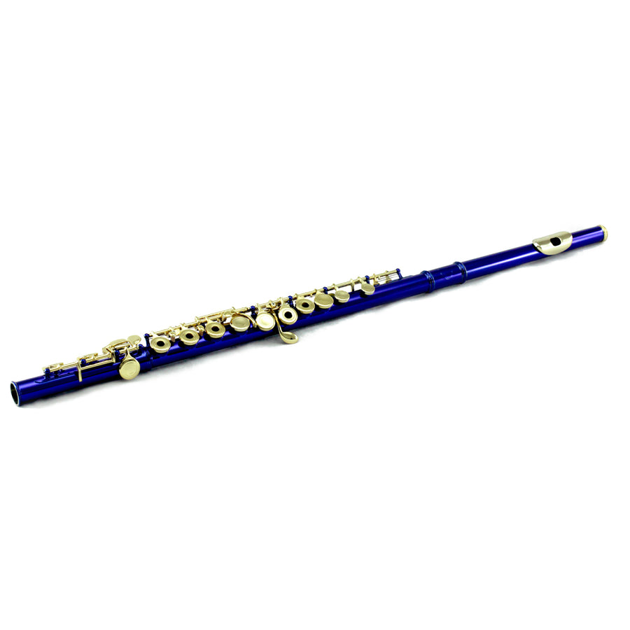 Sky C Foot Flute Blue/Gold Open Hole Band Approved