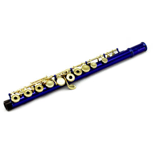 Sky C Foot Flute Blue/Gold Open Hole Band Approved