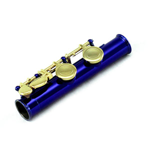 Sky C Foot Flute Blue/Gold Open Hole Band Approved