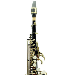 Sky Band Approved Bb Black Lacquered Soprano Saxophone with Case and Care Kit