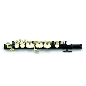 Sky(Paititi) Band Approved Black Lacquer Plated Piccolo Key of C Starter Kit