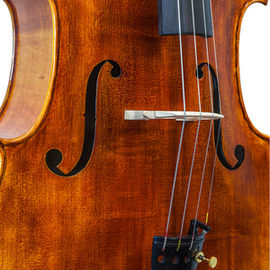 Paititi PT200 Solid Wood Ebony Fitted 4/4 Professional Acoustic Cello Kit