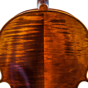Paititi PT200 Solid Wood Ebony Fitted 4/4 Professional Acoustic Cello Kit