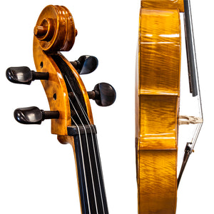 Paititi PT300 Ebony Fitted Highly Flamed 4/4 Professional Acoustic Cello Kit