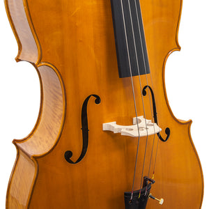 Paititi PT300 Ebony Fitted Highly Flamed 4/4 Professional Acoustic Cello Kit