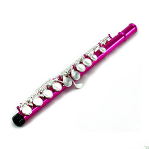 Sky C Foot Flute Hot Pink Silver Closed Hole Band Approved