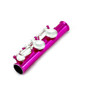 Sky C Foot Flute Hot Pink Silver Closed Hole Band Approved