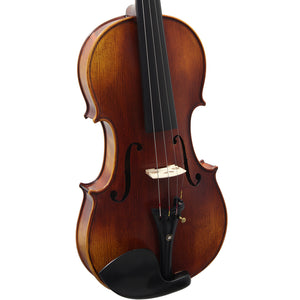 Paititi 4/4 Full Size PTVNHH100 Premium Hand Carved One-Piece Back Ebony Fitted Violin