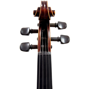 Paititi 4/4 Full Size PTVNHH100 Premium Hand Carved One-Piece Back Ebony Fitted Violin