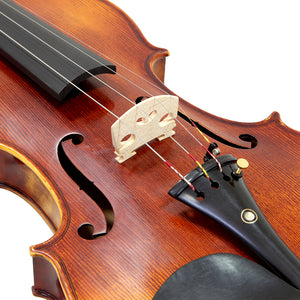 Paititi 4/4 Full Size PTVNHH100 Premium Hand Carved One-Piece Back Ebony Fitted Violin