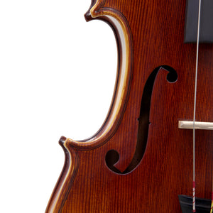 Paititi 4/4 Full Size PTVNHH100 Premium Hand Carved One-Piece Back Ebony Fitted Violin