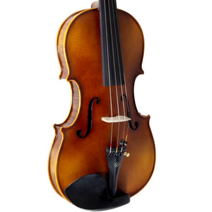 Paititi 4/4 Full Size PTVNHY100 Premium Hand Carved Ebony Fitted Violin