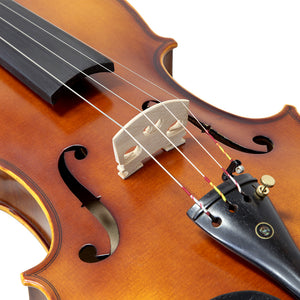 Paititi 4/4 Full Size PTVNHY100 Premium Hand Carved Ebony Fitted Violin