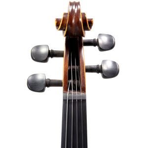 Paititi 4/4 Full Size PTVNHY100 Premium Hand Carved Ebony Fitted Violin