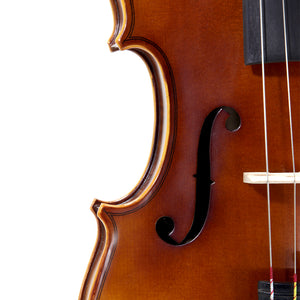 Paititi 4/4 Full Size PTVNHY100 Premium Hand Carved Ebony Fitted Violin