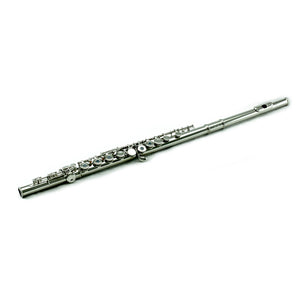 Sky C Foot Flute Nickel Open Hole Band Approved