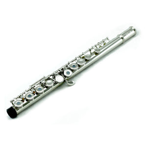 Sky C Foot Flute Nickel Open Hole Band Approved