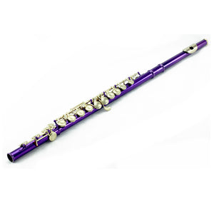 Sky C Foot Flute Purple Gold Closed Hole Band Approved