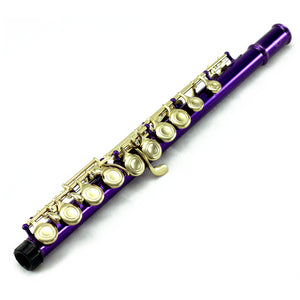 Sky C Foot Flute Purple Gold Closed Hole Band Approved