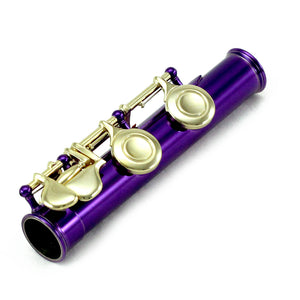 Sky C Foot Flute Purple Gold Closed Hole Band Approved