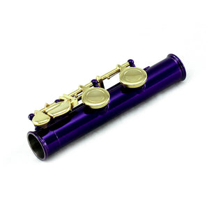 Sky C Foot Flute Purple/Gold Open Hole Band Approved