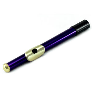 Sky C Foot Flute Purple/Gold Open Hole Band Approved