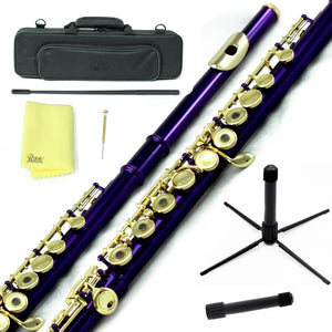 Sky C Foot Flute Purple/Gold Open Hole Band Approved