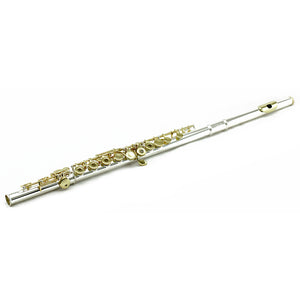 Sky C Foot Flute Silver/Gold Open Hole Band Approved