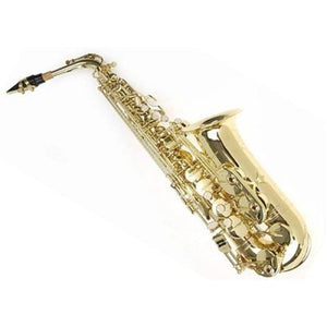 Sky E Flat Lacquer Alto Saxophone with F# Key, Case and 10 Reeds, Gold