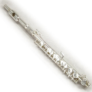 Sky(Paititi) Band Approved Silver Plated Piccolo Key of C Starter Kit
