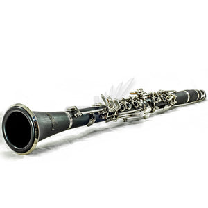 SKY Black Bb Clarinet Ebony Neck with Case, Mouthpiece, 11 Reeds, Care Kit and More
